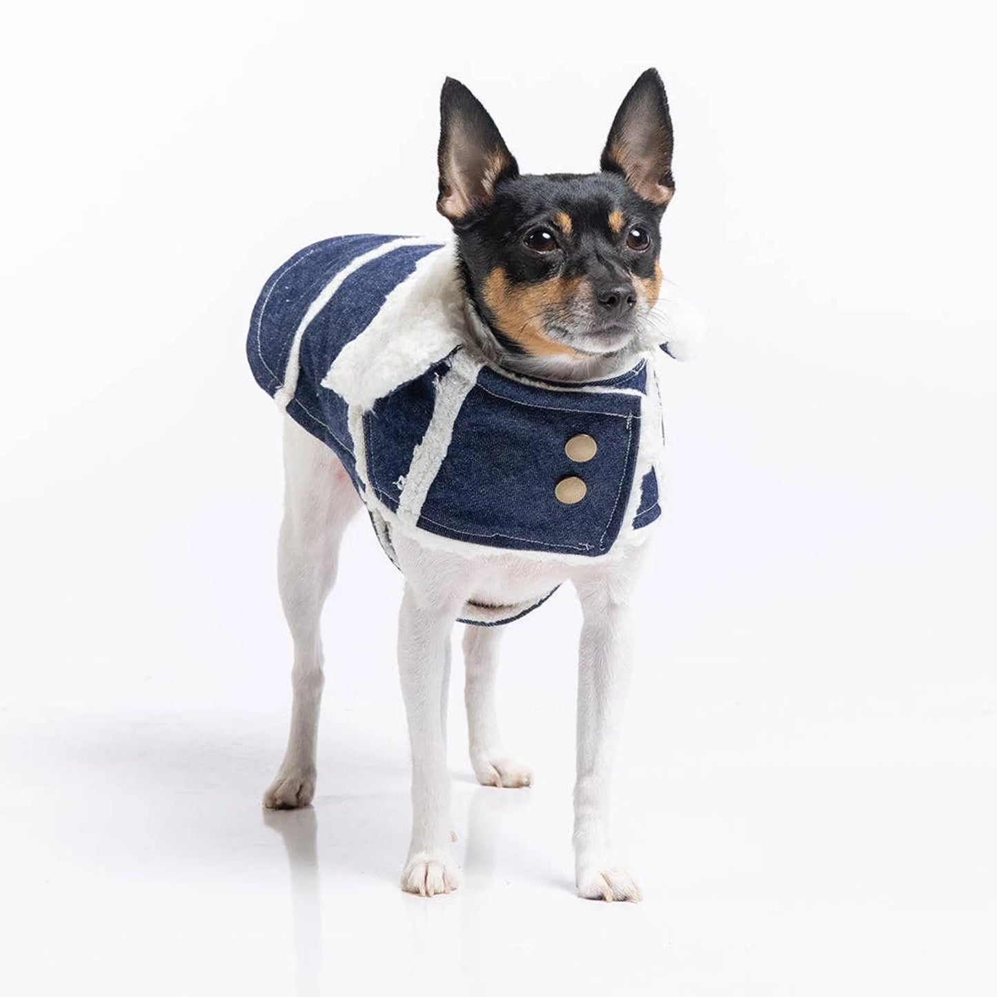 DoggieCoutureNY Navajo Ranch Dog Coat Denim Medium