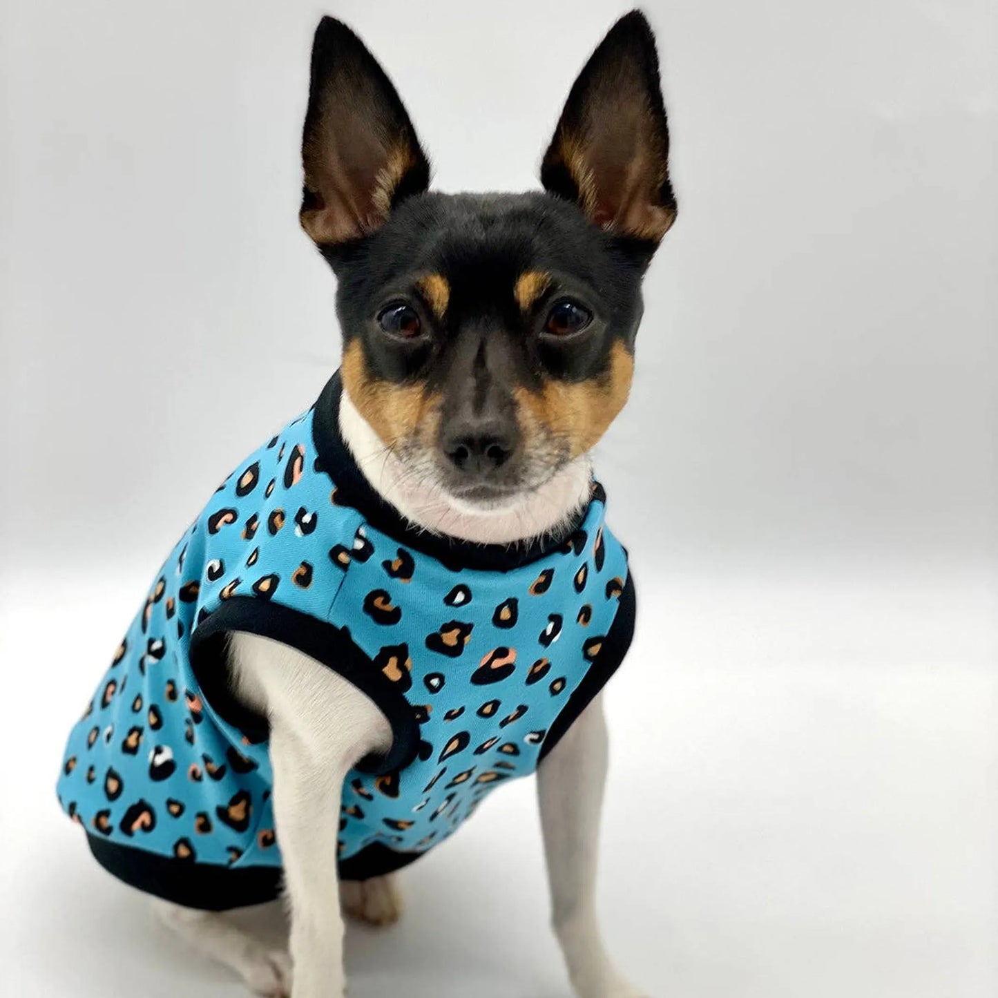 DoggieCoutureNY Teal Leopard Dog Tank XS-S-M