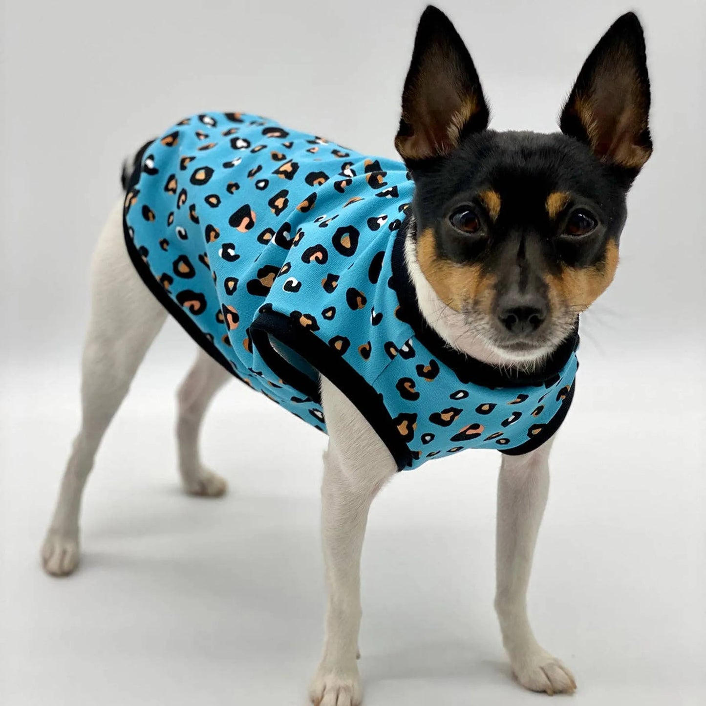 DoggieCoutureNY Teal Leopard Dog Tank XS-S-M