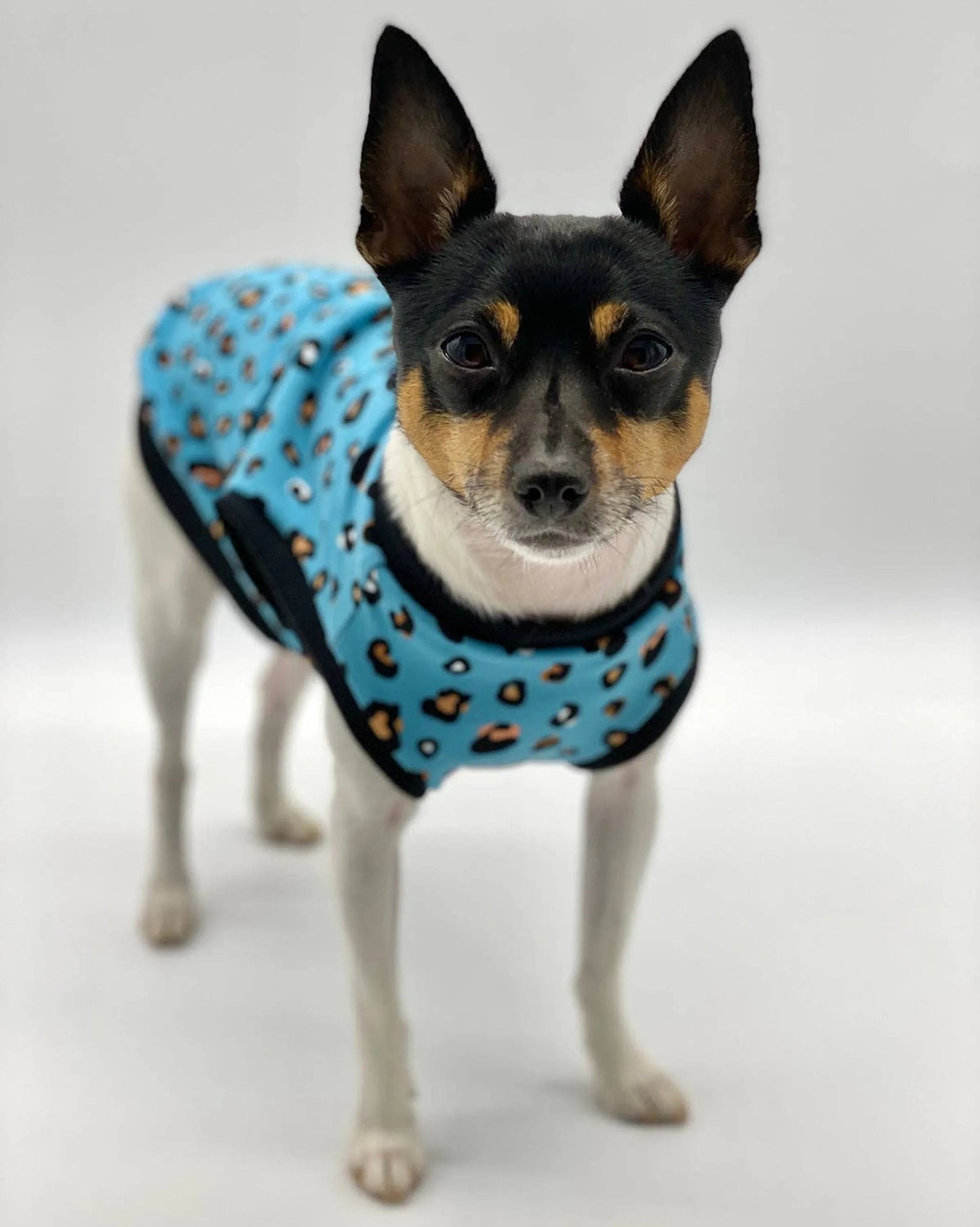 DoggieCoutureNY Teal Leopard Dog Tank XS-S-M