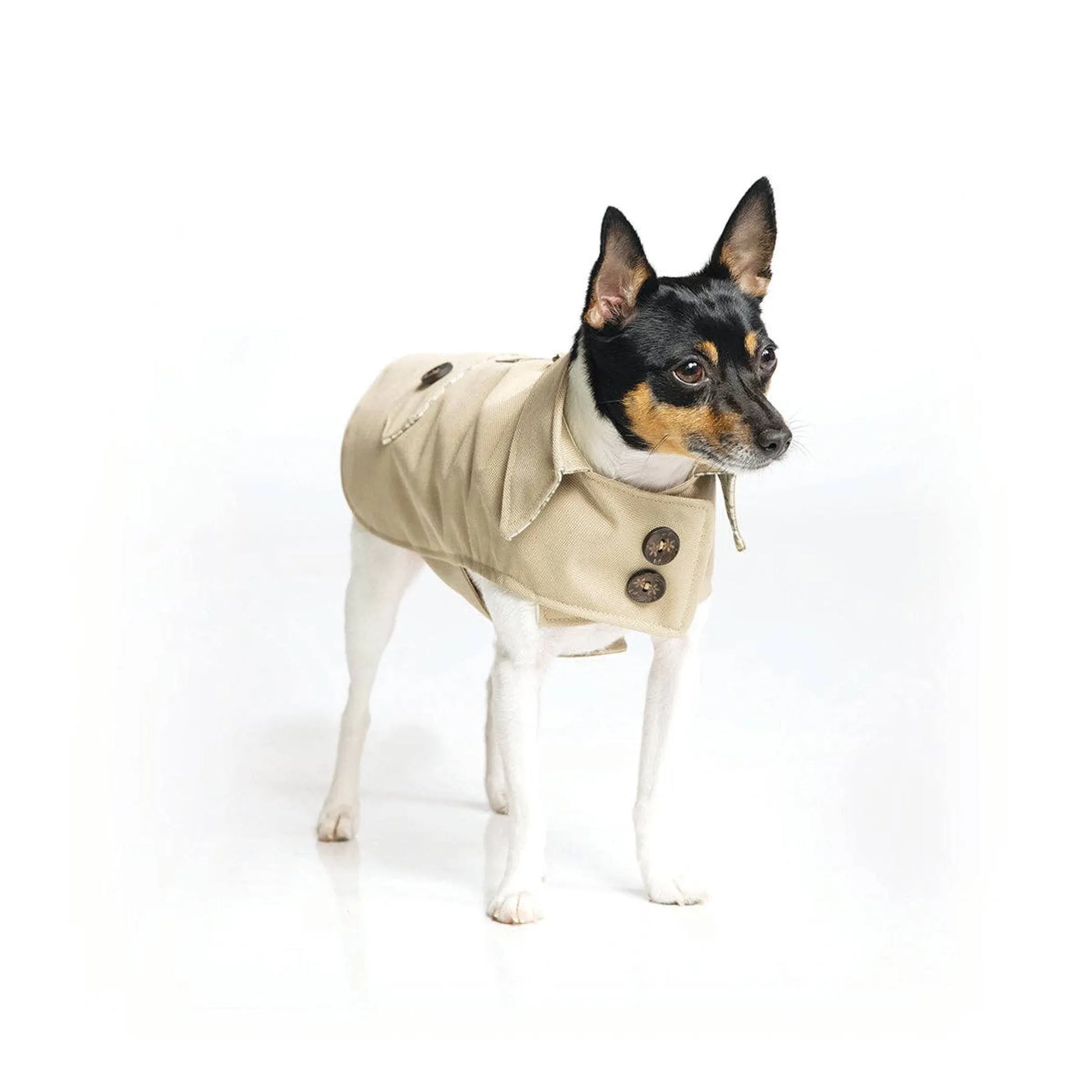DoggieCoutureNY Classic Trench Coat - Your Pet Connection