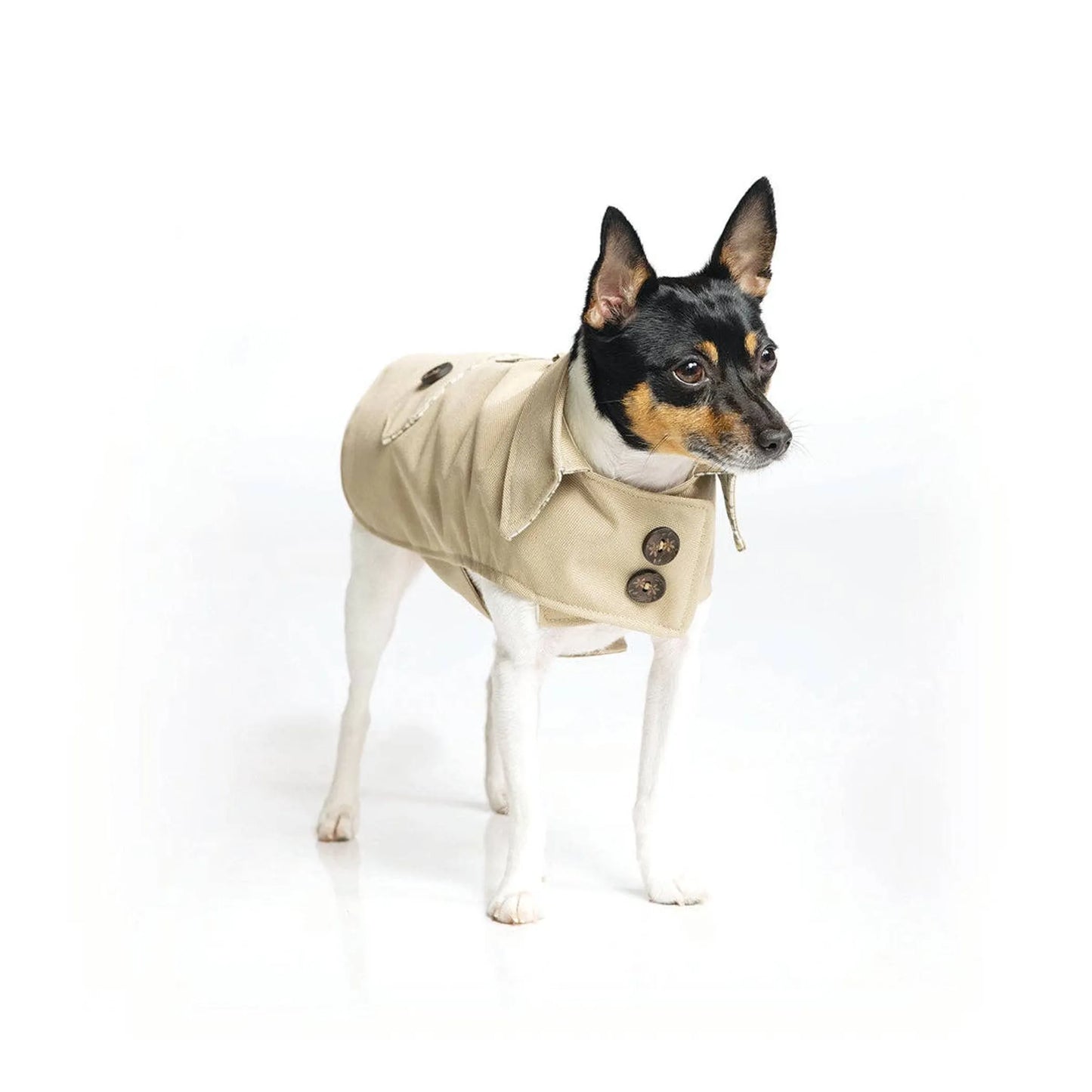 DoggieCoutureNY Classic Trench Coat Medium
