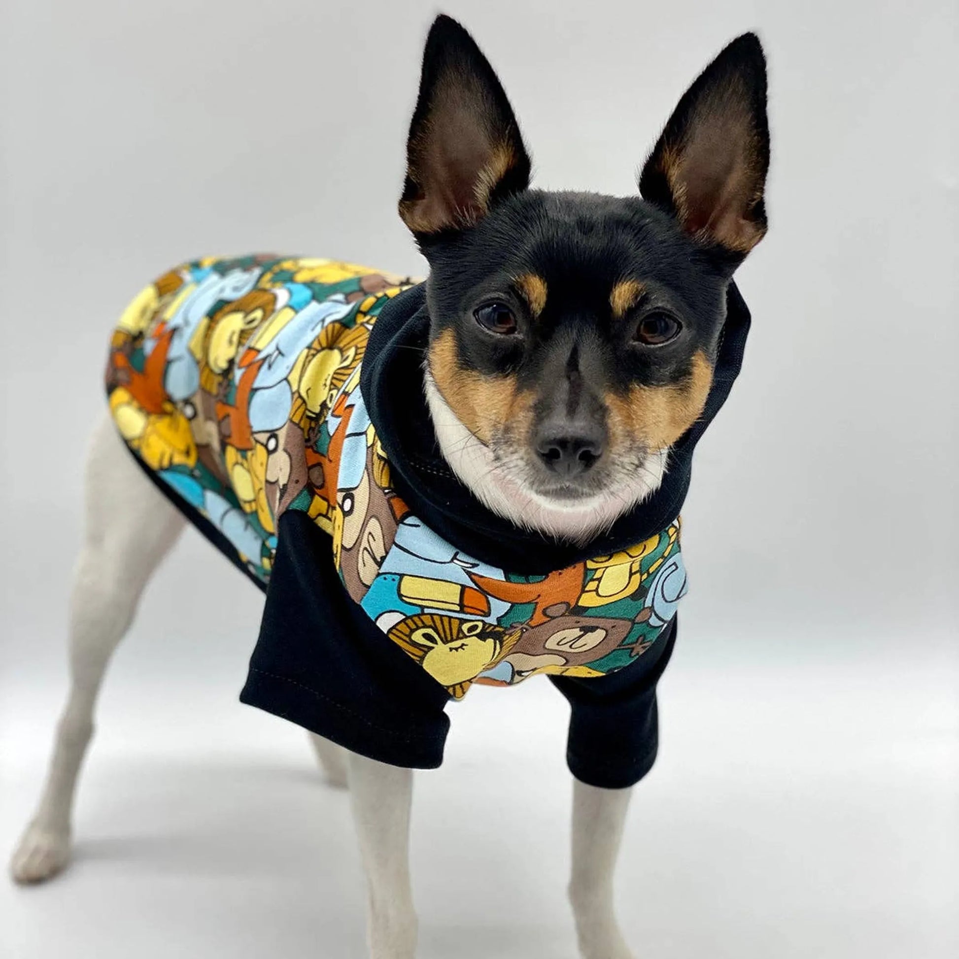 DCNY Day At The Zoo Hoodie - Limited Edition - Your Pet Connection