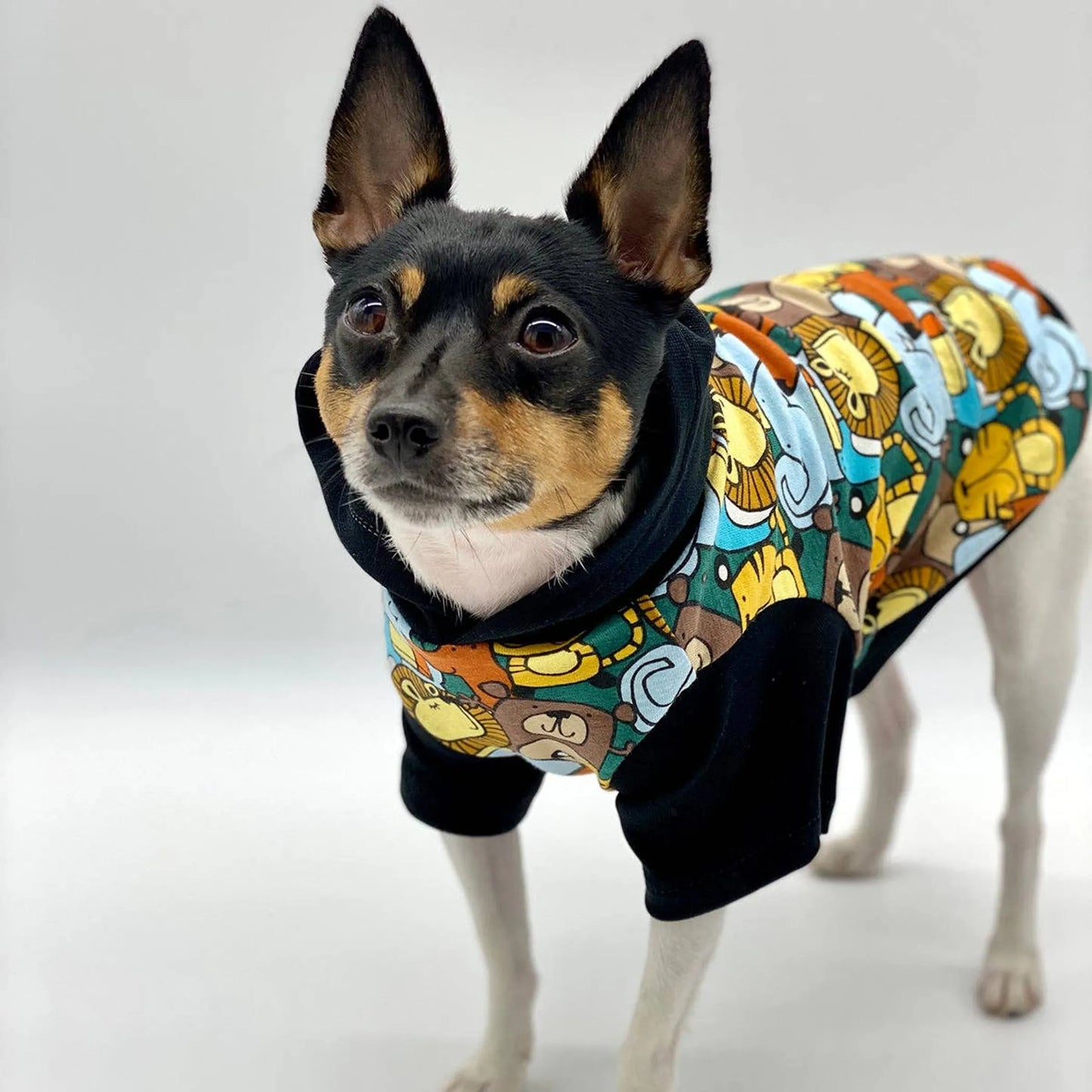 DCNY Day At The Zoo Hoodie - Limited Edition - Your Pet Connection