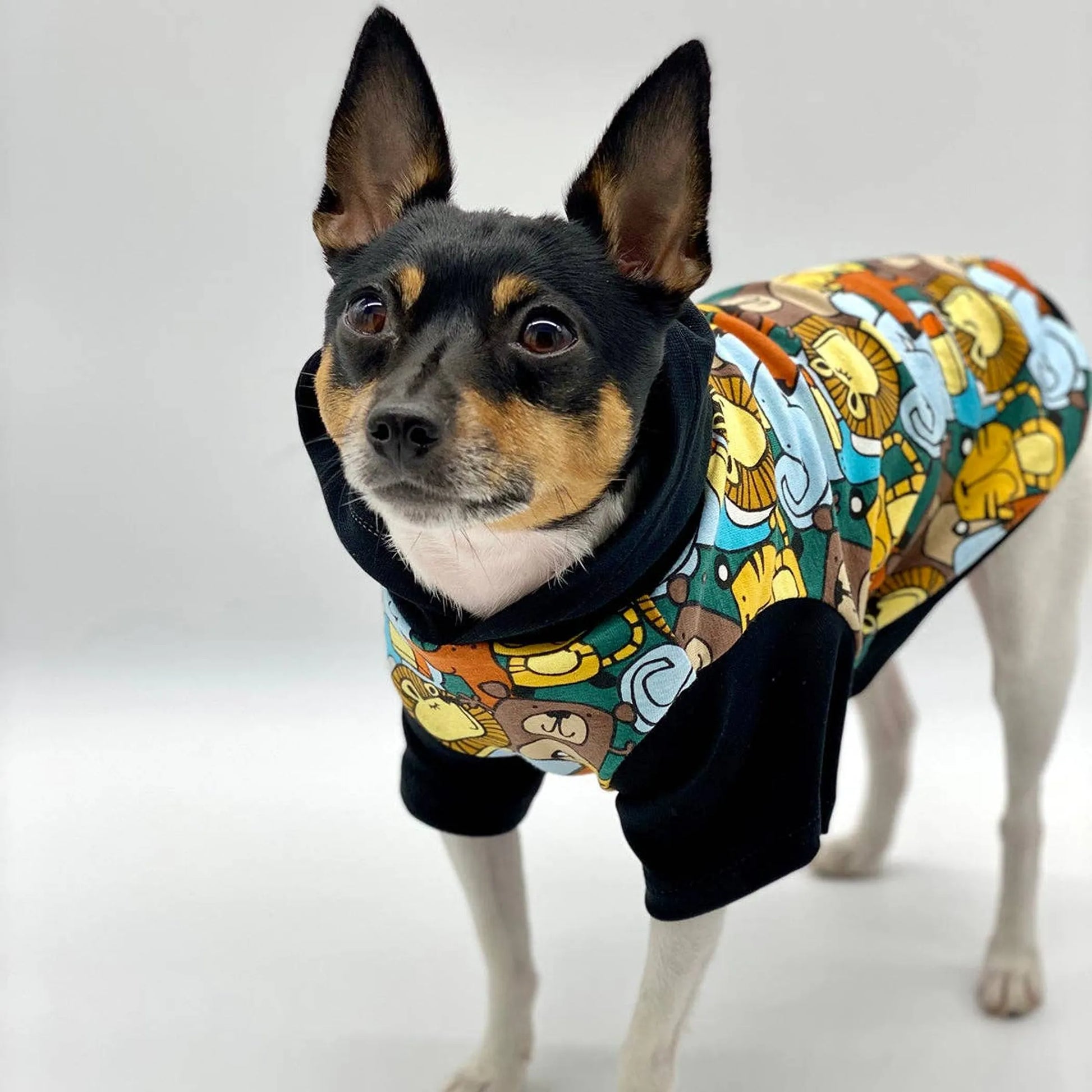 DCNY Day At The Zoo Hoodie - Limited Edition - Your Pet Connection