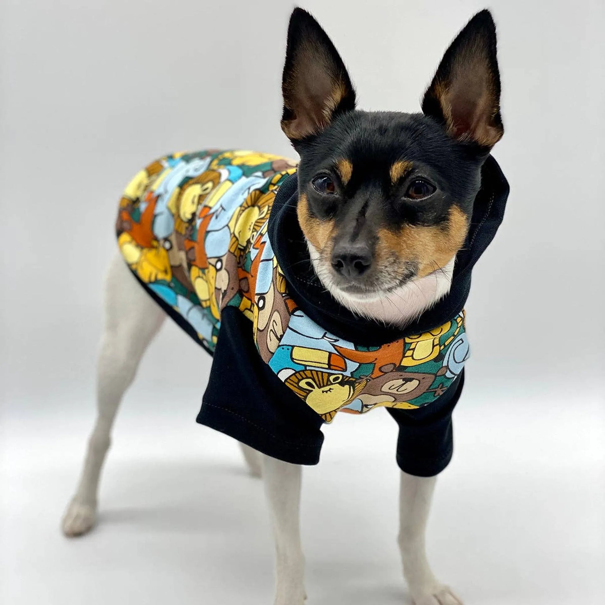 DCNY Day At The Zoo Hoodie - Limited Edition - Your Pet Connection