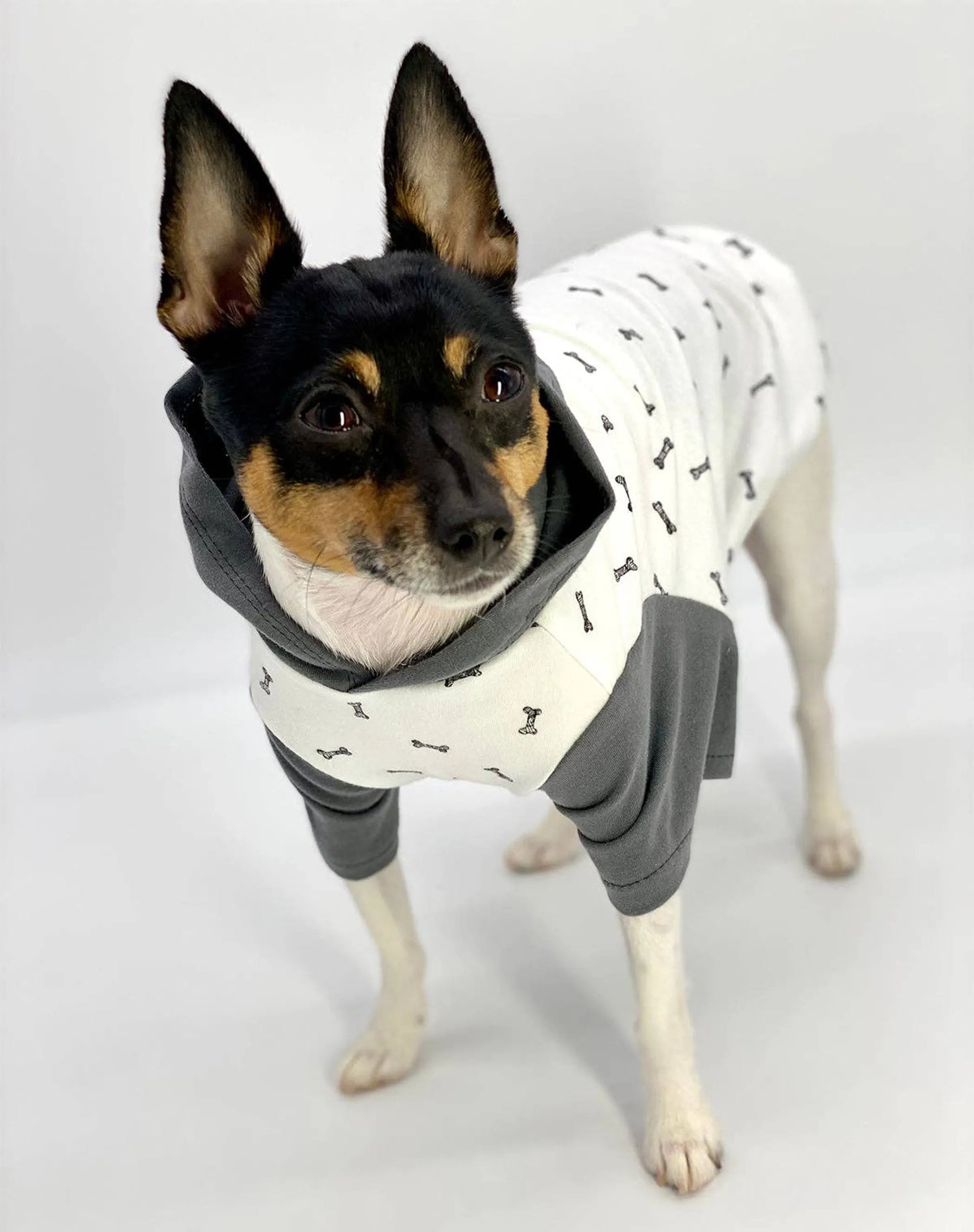 DoggieCoutureNY Cozy Bone Print Dog Hoodie X-Small