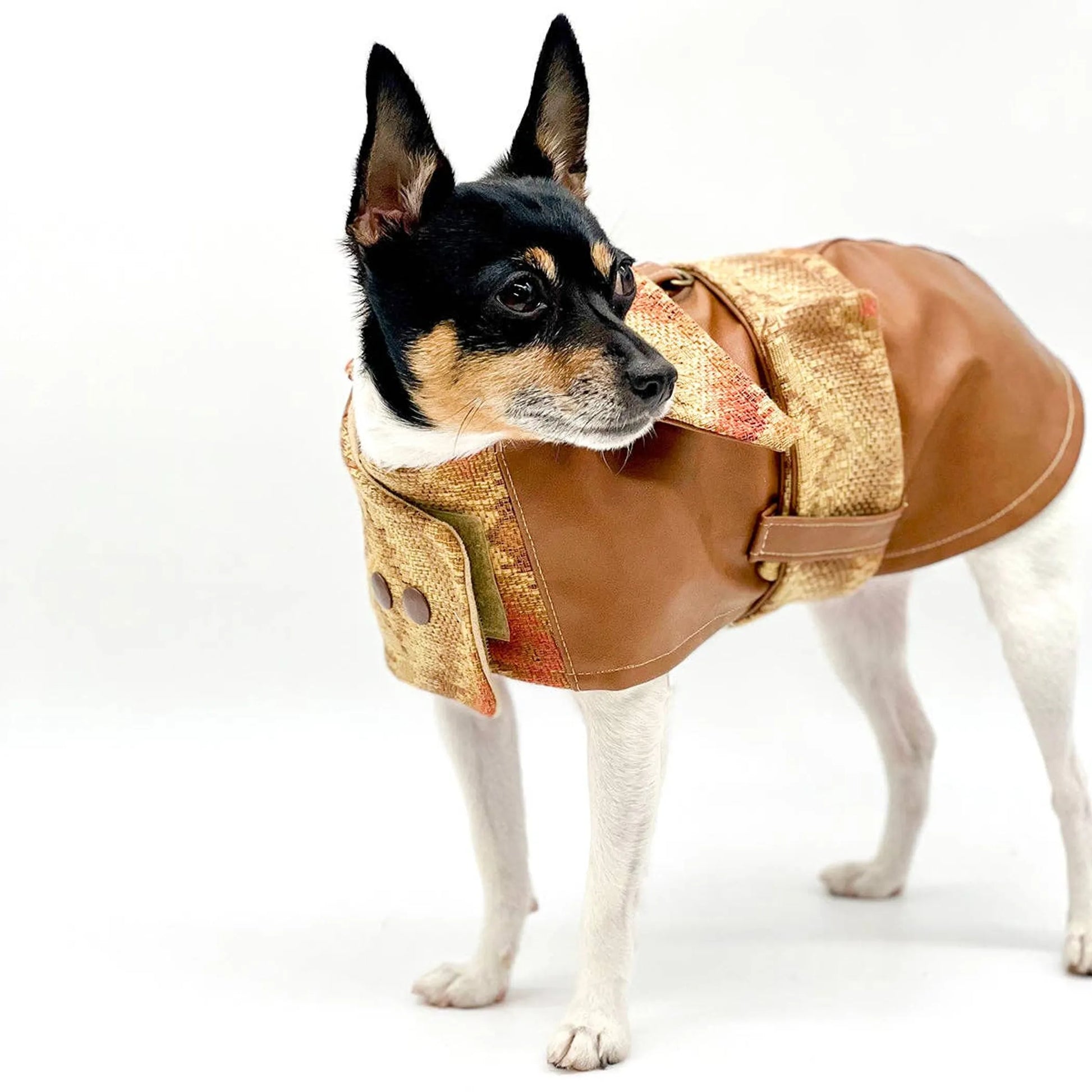 DCNY Vegan Faux Leather Southwest Coat - Your Pet Connection