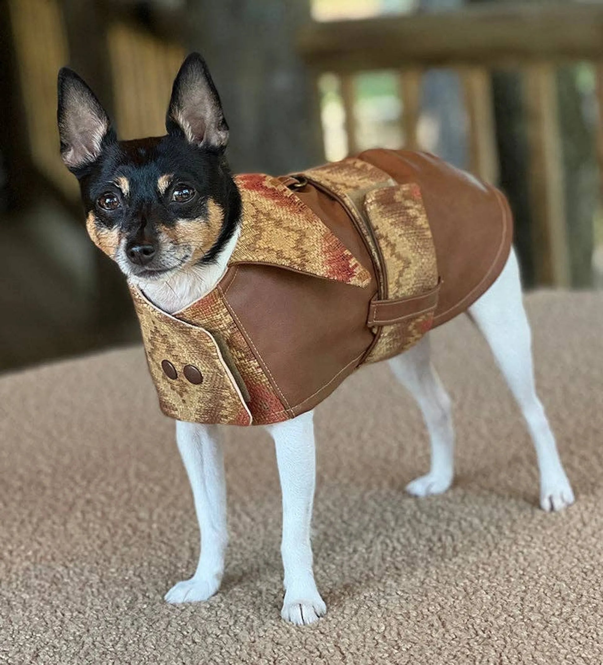 DCNY Vegan Faux Leather Southwest Coat - Your Pet Connection