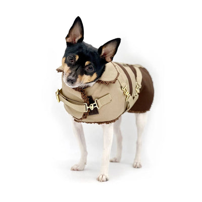 DoggieCoutureNY Equestrian-Inspired Dog Coat X-Small