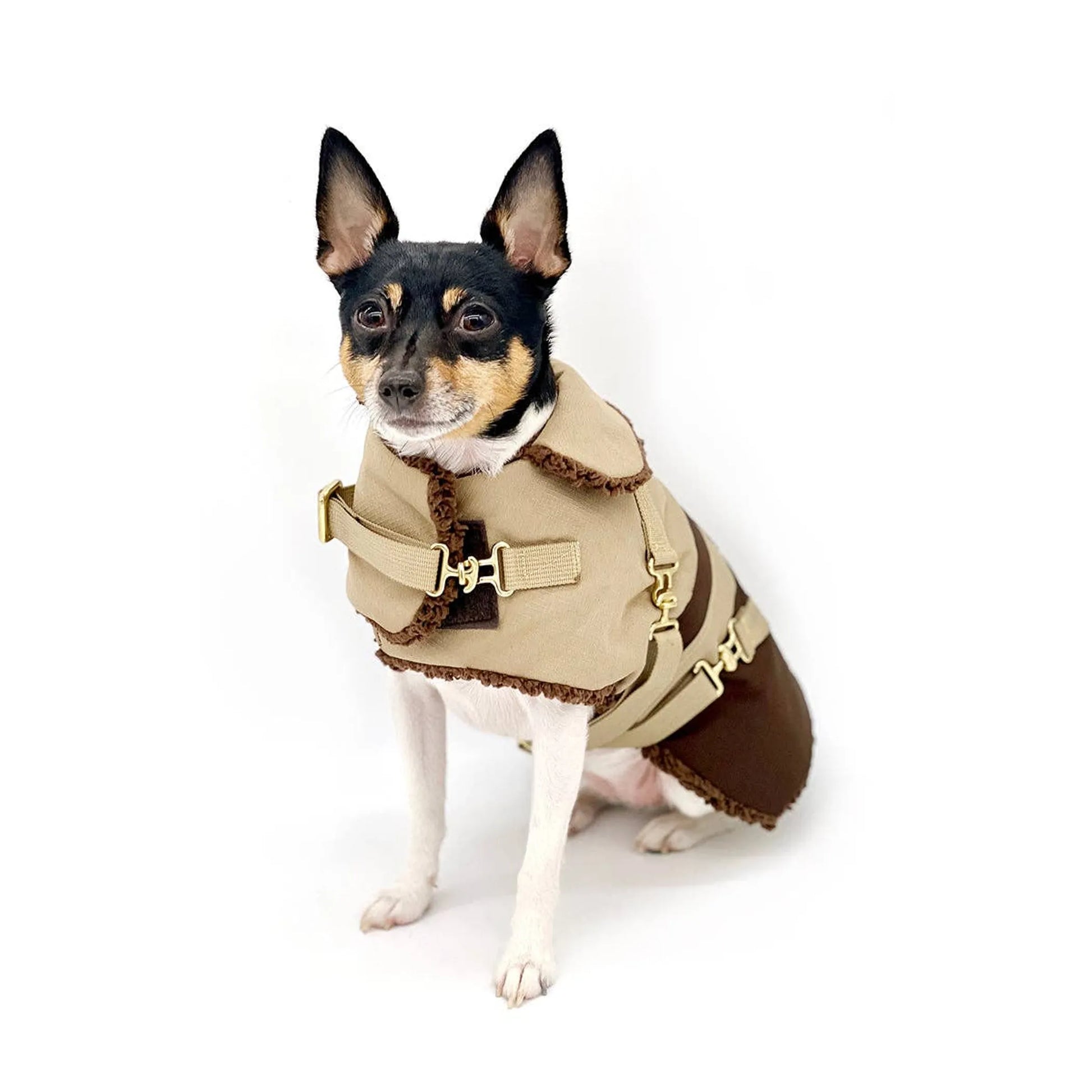 "Classic Mocha Latte" - DCNY Equestrian Collection - Your Pet Connection