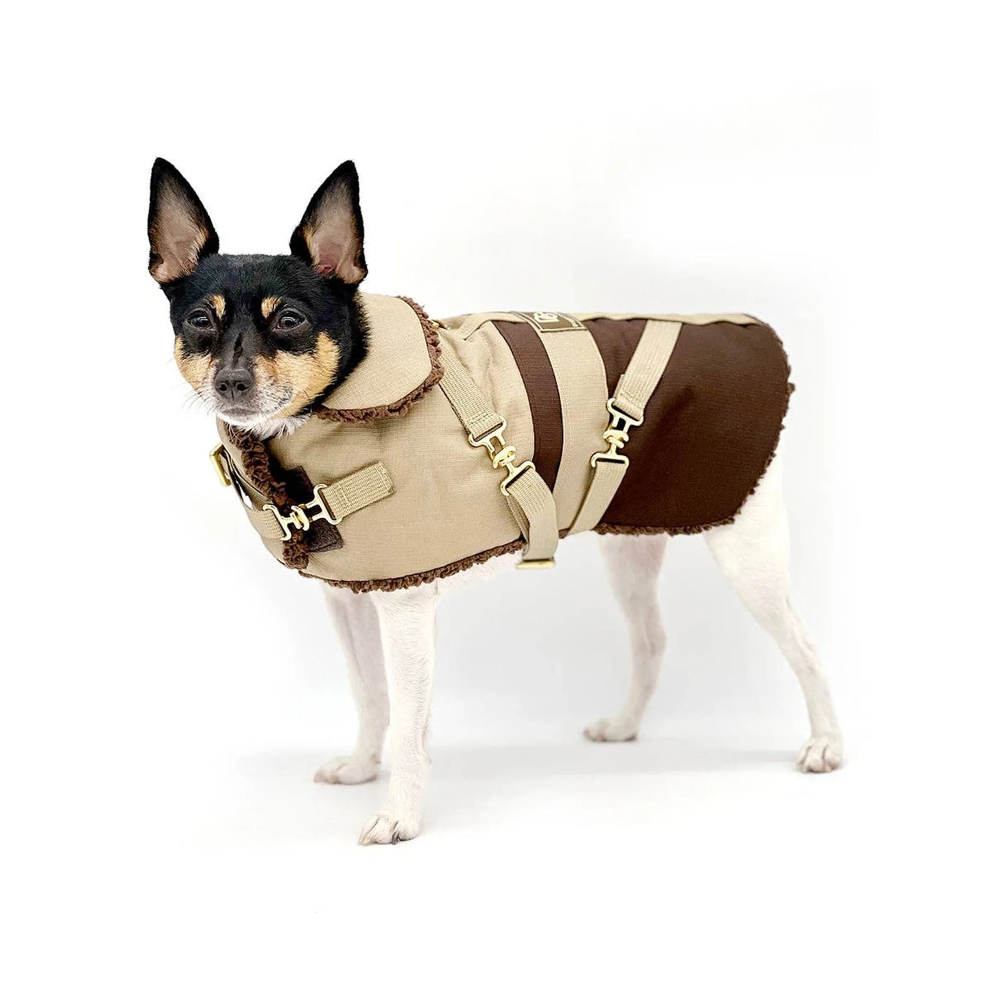 "Classic Mocha Latte" - DCNY Equestrian Collection - Your Pet Connection