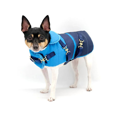 "Clear Blue Sky" - DCNY Equestrian Collection - Your Pet Connection