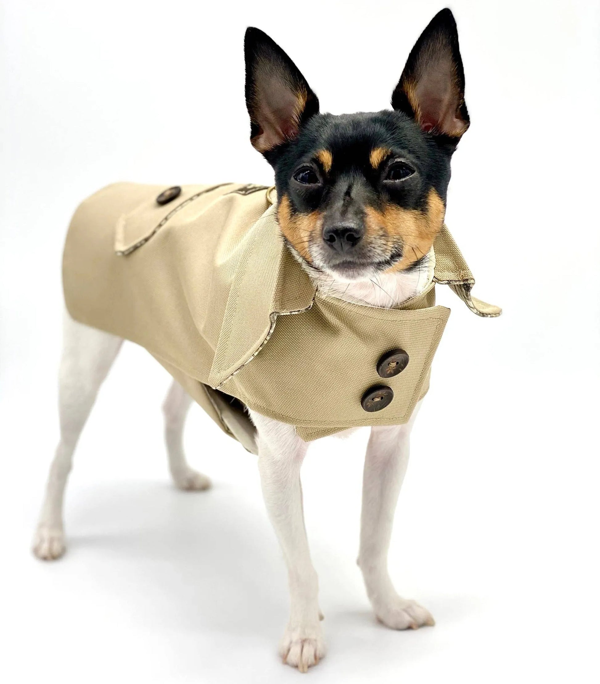 DoggieCoutureNY Classic Trench Coat - Your Pet Connection