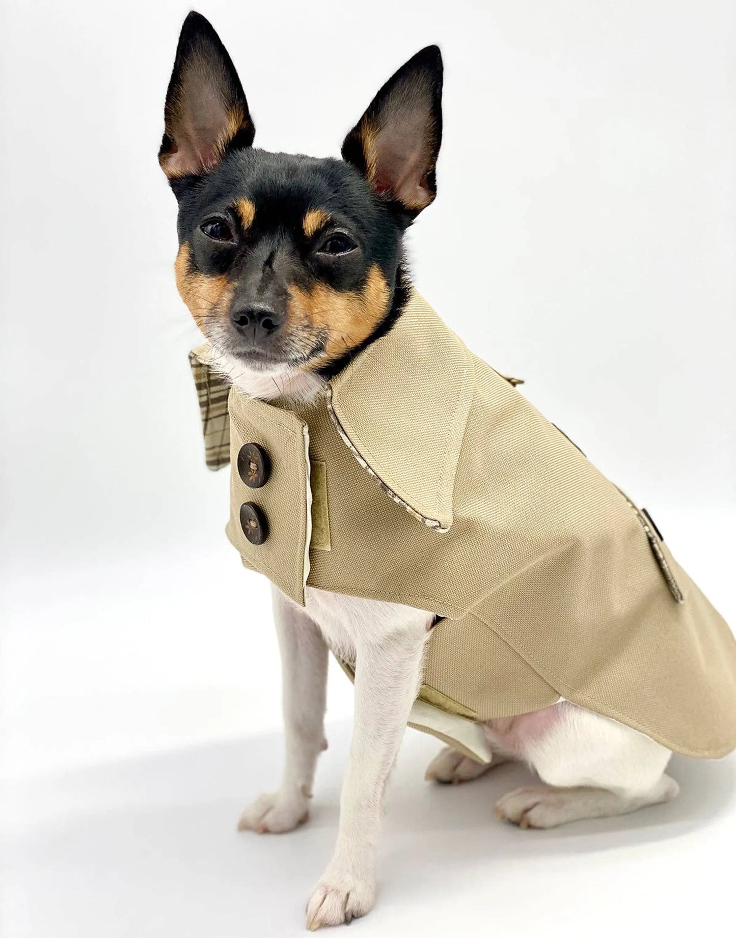 DoggieCoutureNY Classic Trench Coat - Your Pet Connection