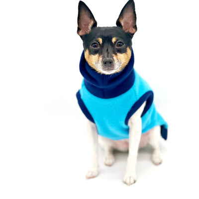 DCNY Two Tone Blue Longneck Sweater - Your Pet Connection