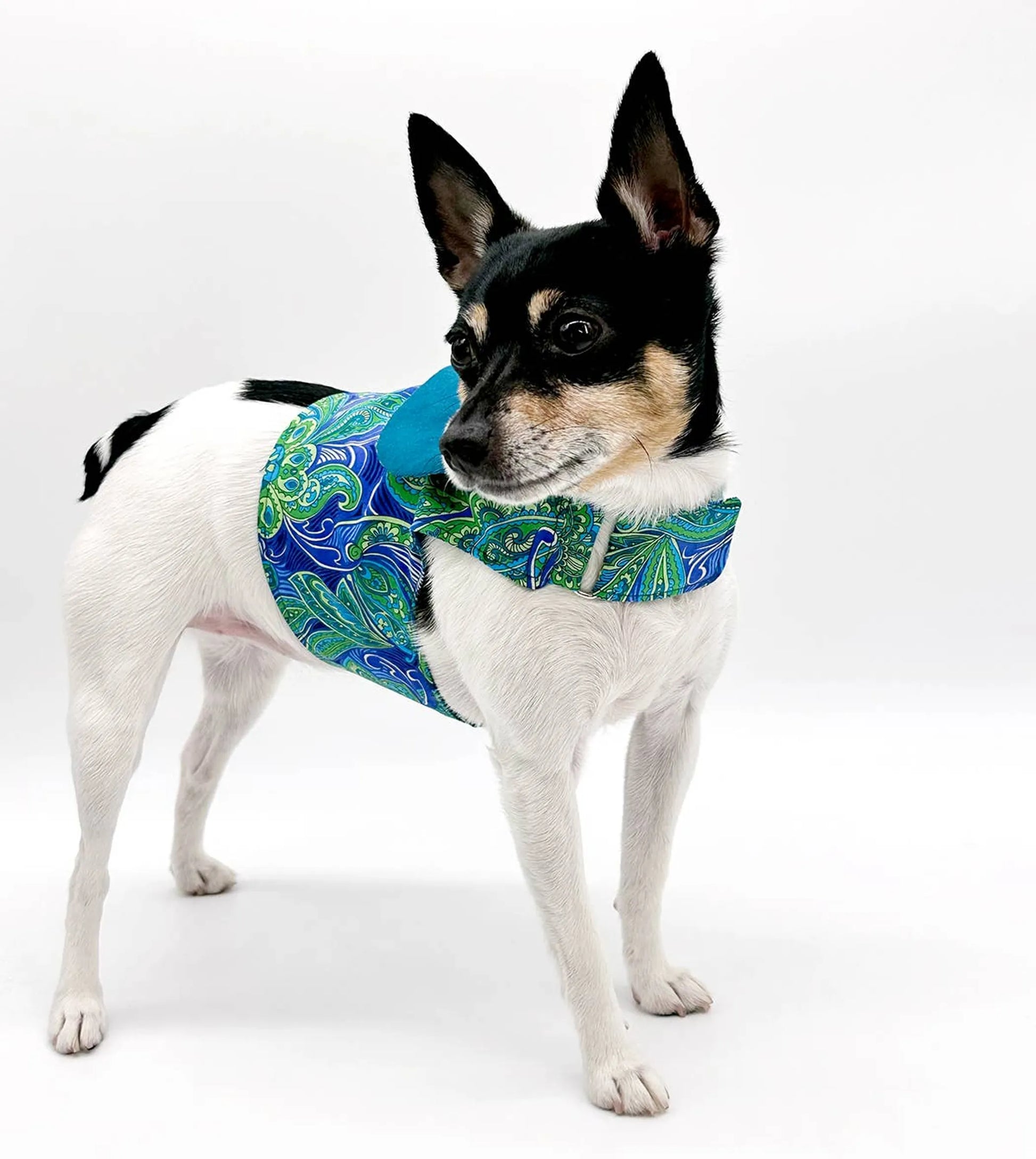 DCNY "Pretty in Paisley" Vest-Style Harness - Your Pet Connection