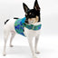 DoggieCoutureNY Chic Paisley Dog Harness Small