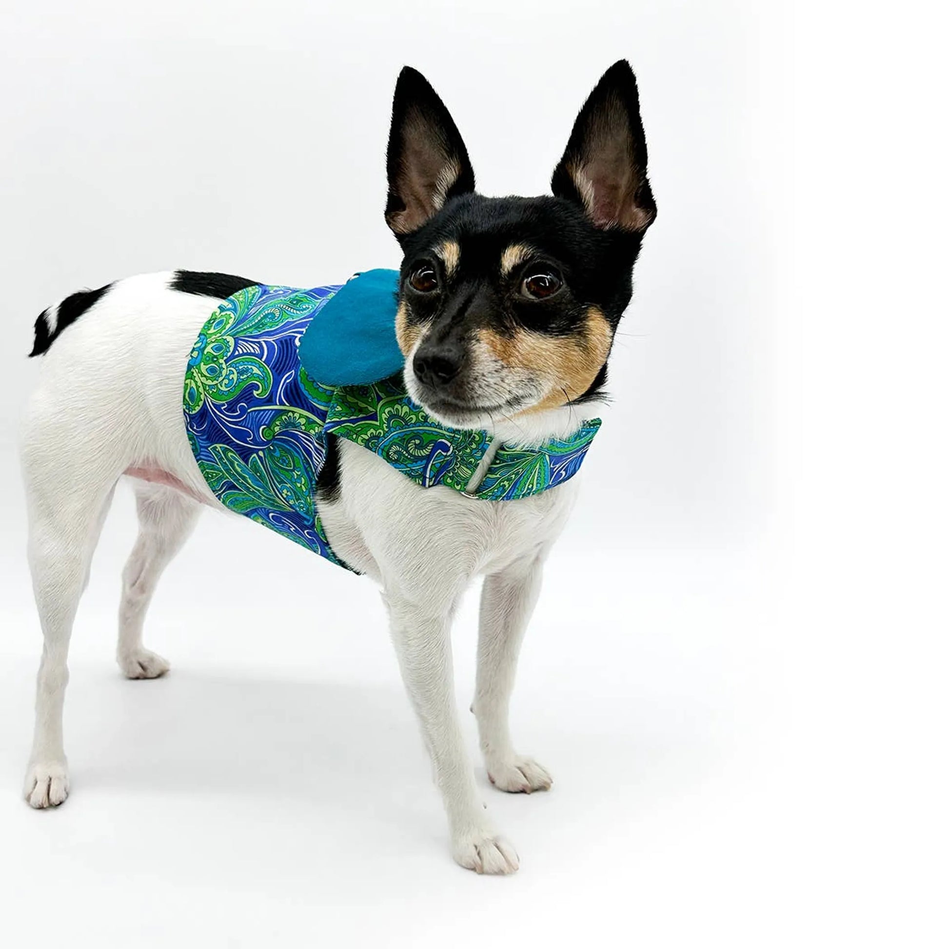 DCNY "Pretty in Paisley" Vest-Style Harness - Your Pet Connection
