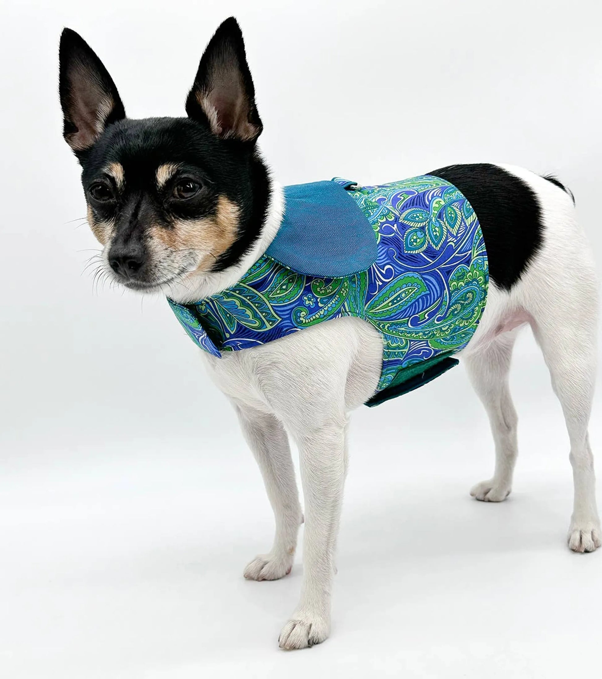 DCNY "Pretty in Paisley" Vest-Style Harness - Your Pet Connection
