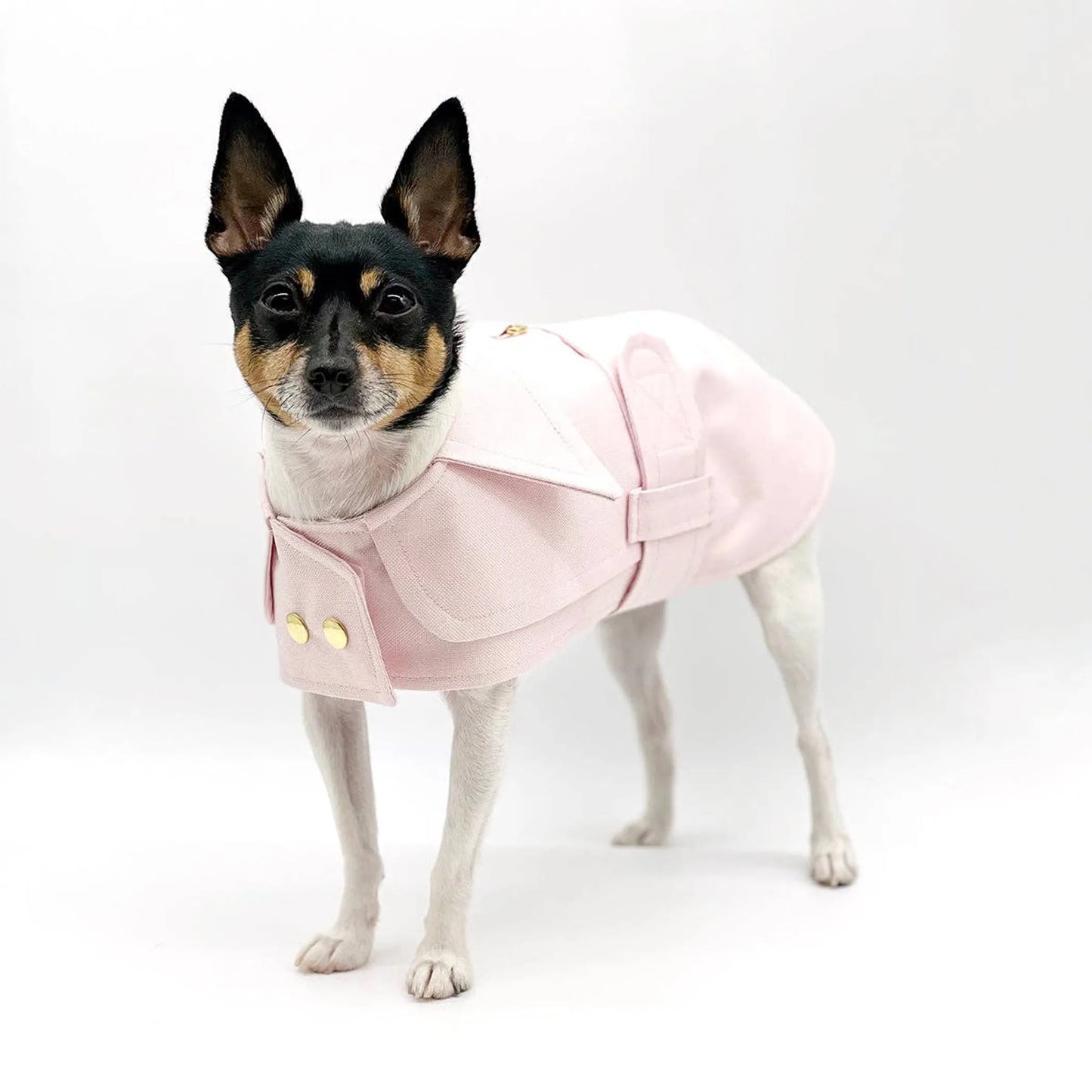 DoggieCoutureNY Stylish Trench Coat for Dogs