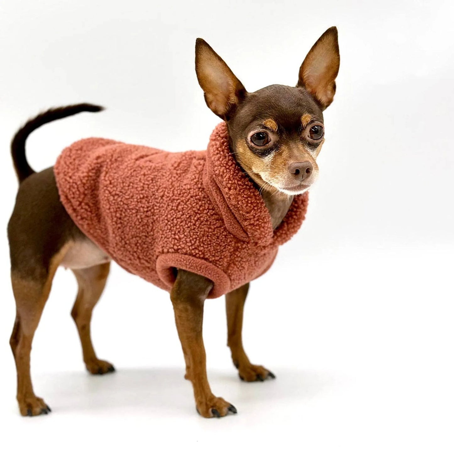 DoggieCoutureNY Cozy Sleeveless Dog Pullover XXS-L