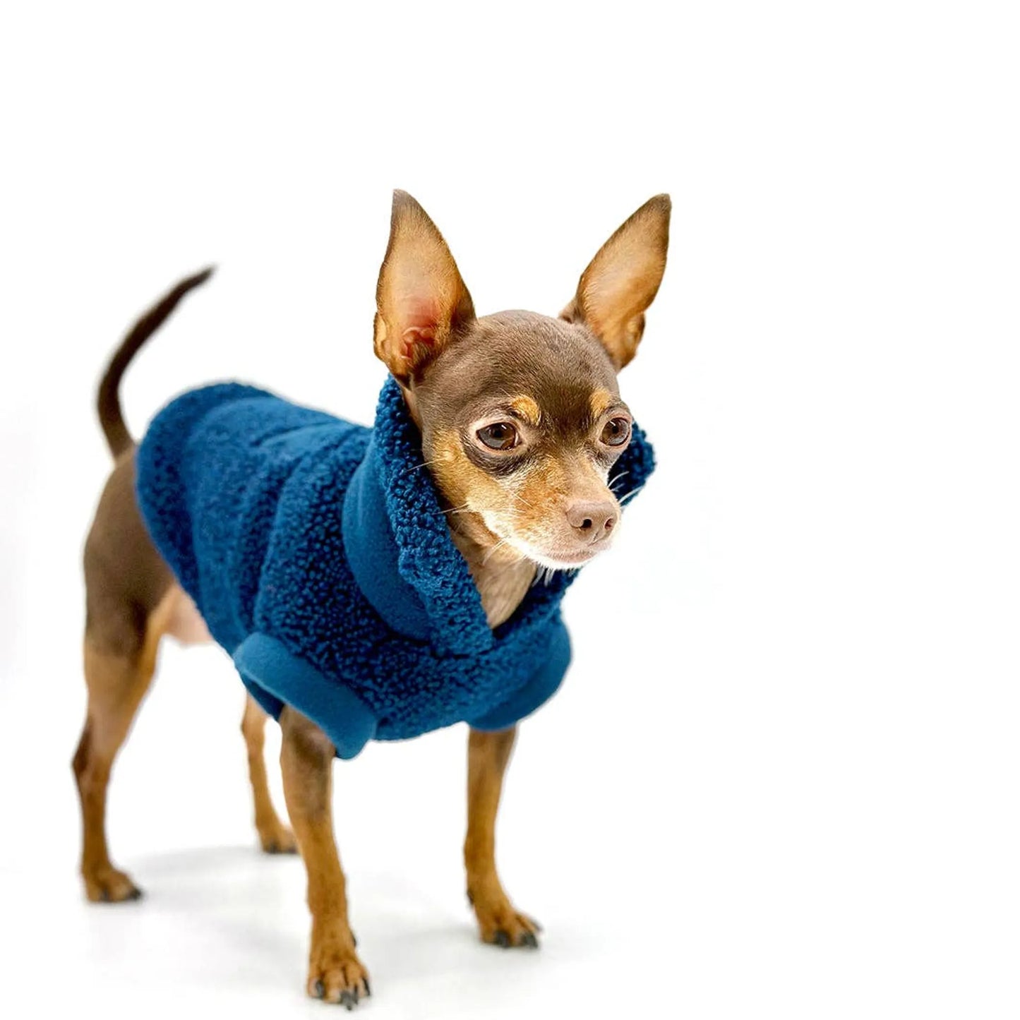 DoggieCoutureNY Cozy Sleeveless Dog Pullover XXS-L
