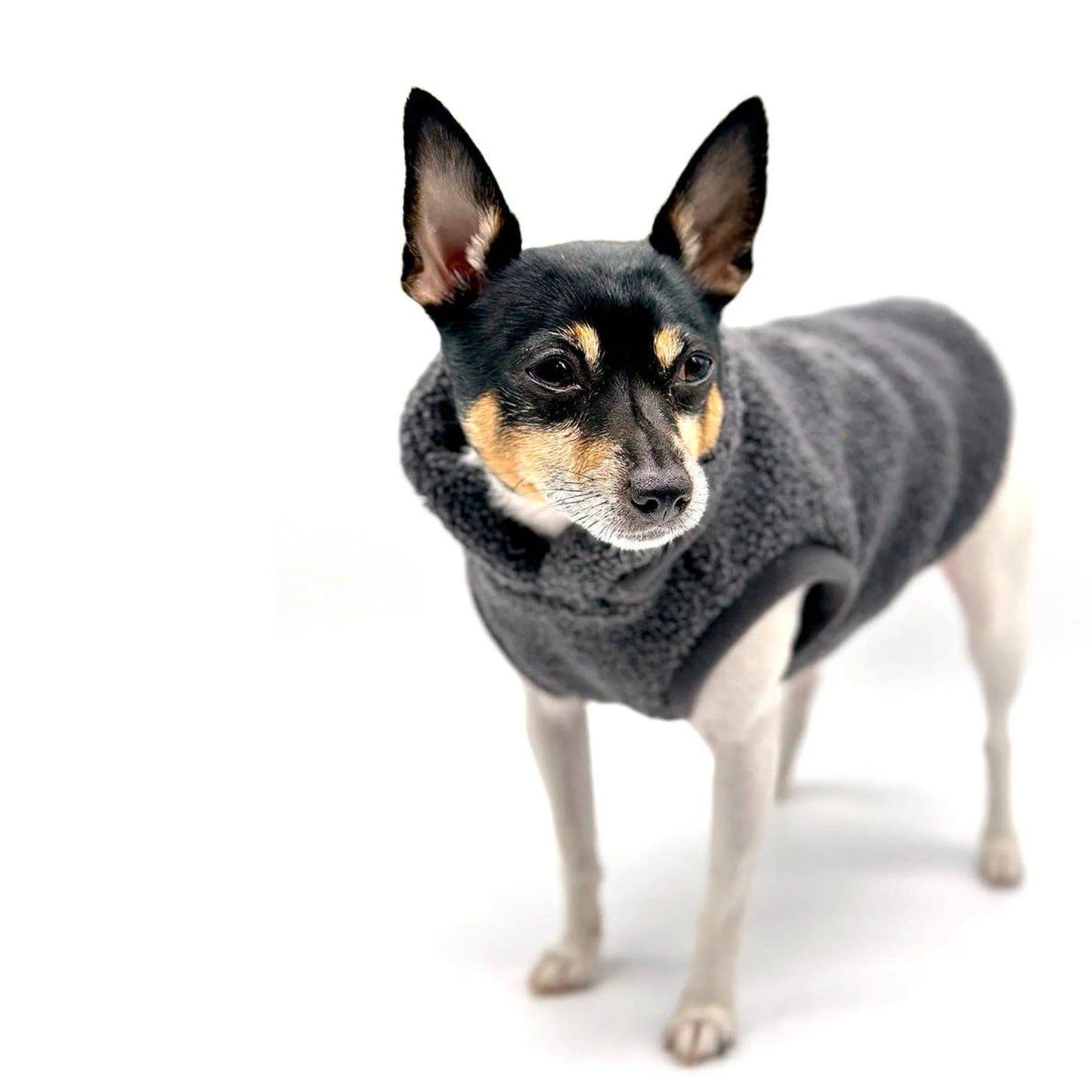 DoggieCoutureNY Cozy Sleeveless Dog Pullover XXS-L