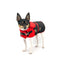 "Ruby Red" - DCNY Equestrian Collection - Your Pet Connection