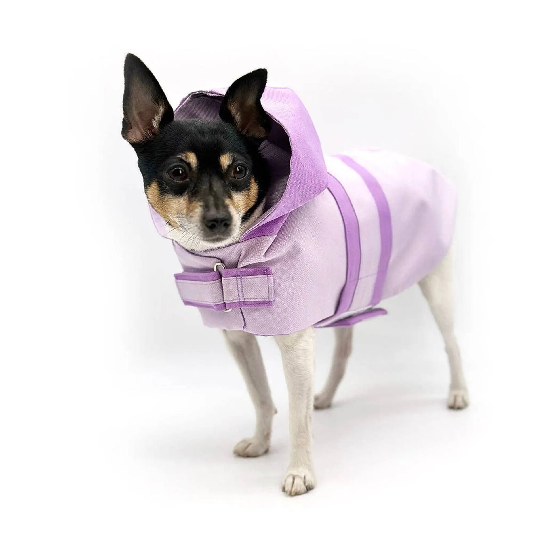DCNY Sport Luxe Hooded Raincoat - Your Pet Connection