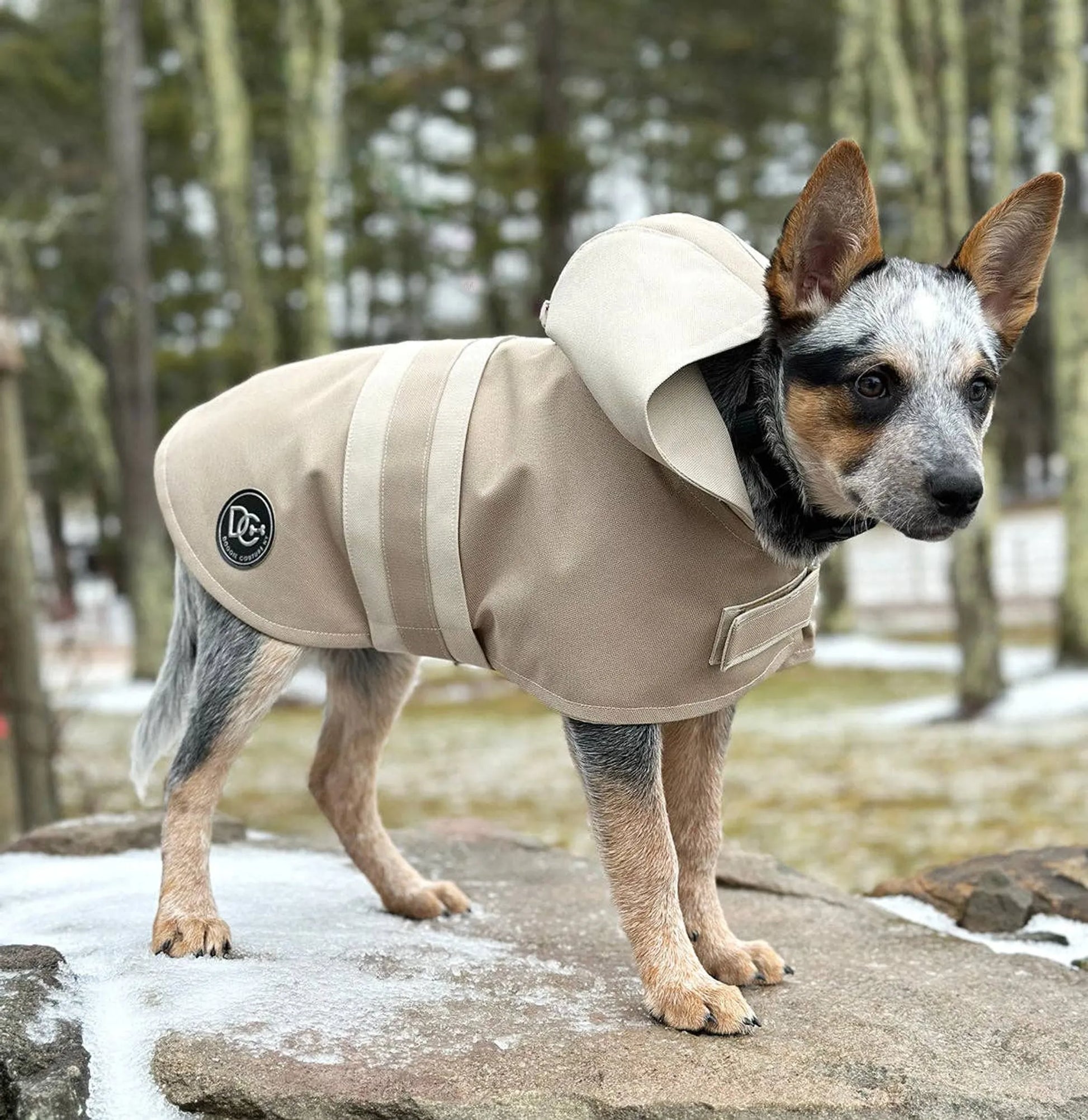 DCNY Sport Luxe Hooded Raincoat - Your Pet Connection
