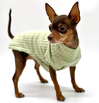 DCNY Mock Neck Sleeveless Sweater Tank - Your Pet Connection
