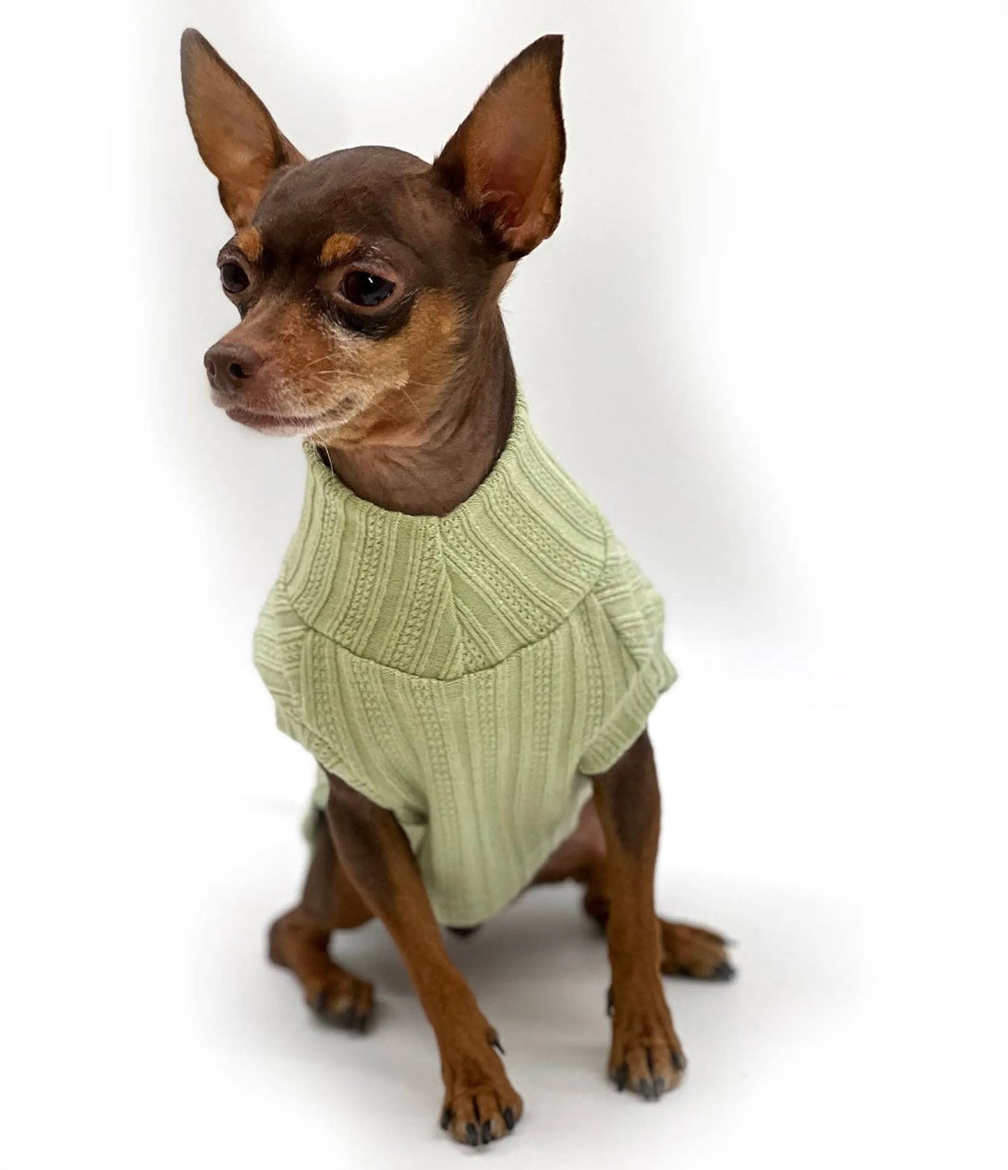 DCNY Mock Neck Sleeveless Sweater Tank - Your Pet Connection