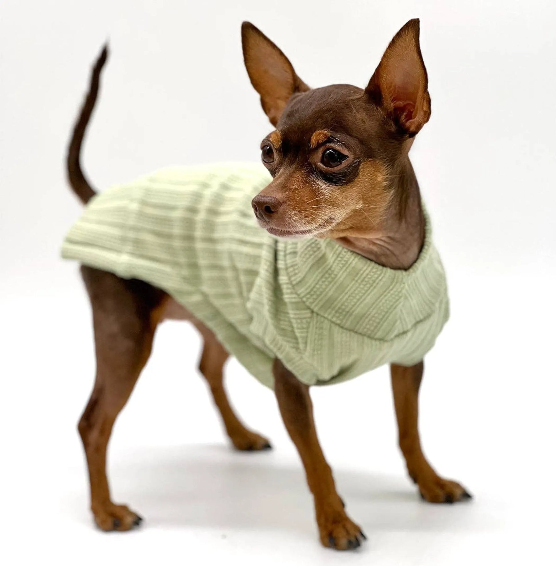 DCNY Mock Neck Sleeveless Sweater Tank - Your Pet Connection