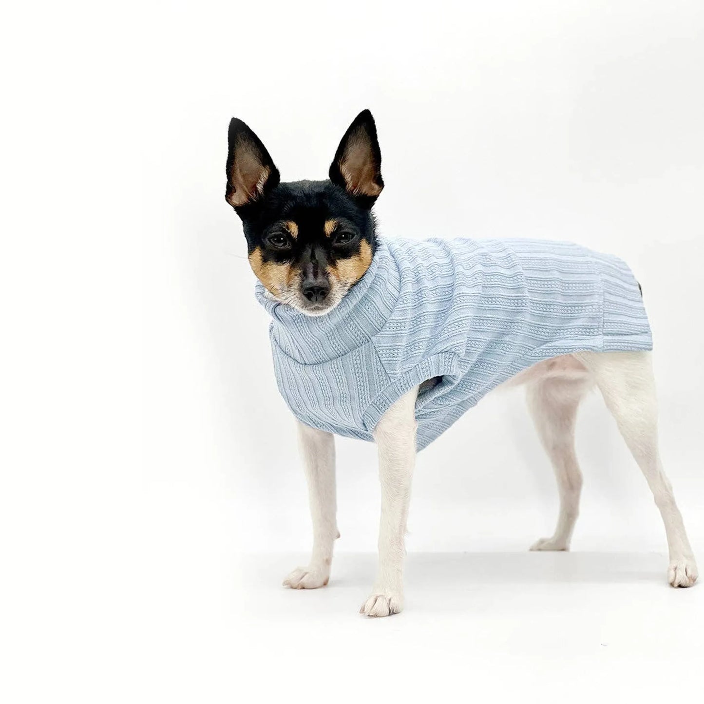 DCNY Mock Neck Sleeveless Sweater Tank - Your Pet Connection