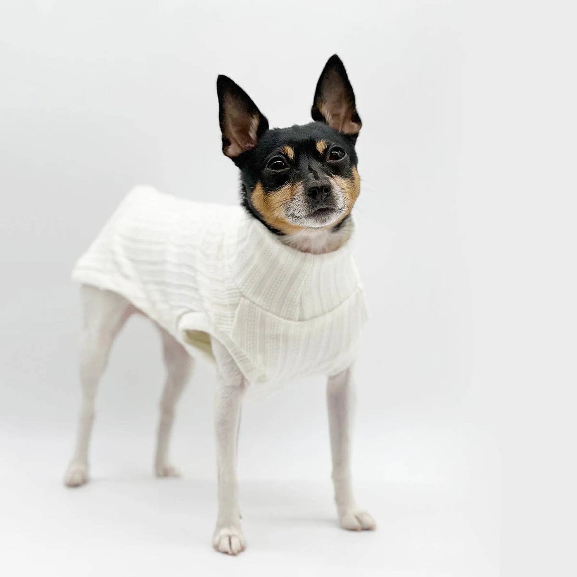 DCNY Mock Neck Sleeveless Sweater Tank - Your Pet Connection