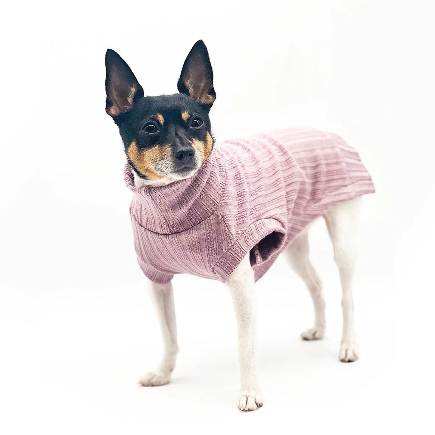 DCNY Mock Neck Sleeveless Sweater Tank - Your Pet Connection
