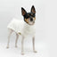 DoggieCoutureNY Comfy Spring Sweater for Dogs
