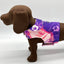 DCNY Purple Hibiscus Vest - Your Pet Connection