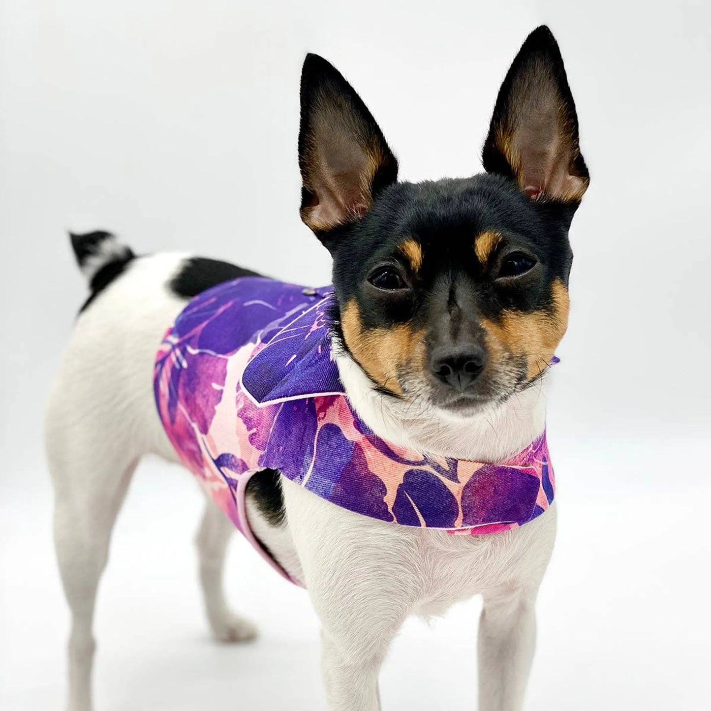 DCNY Purple Hibiscus Vest - Your Pet Connection