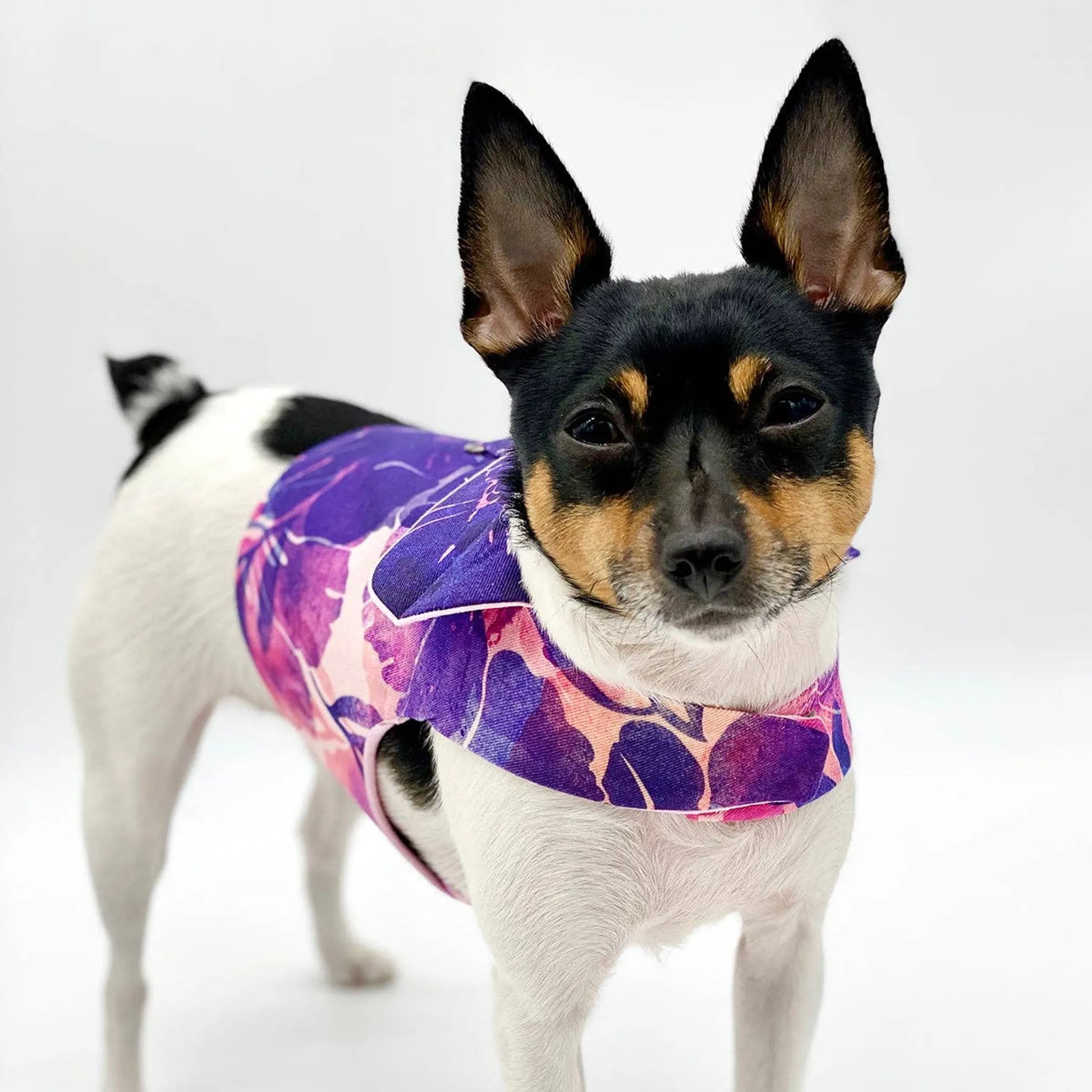 DCNY Purple Hibiscus Vest - Your Pet Connection