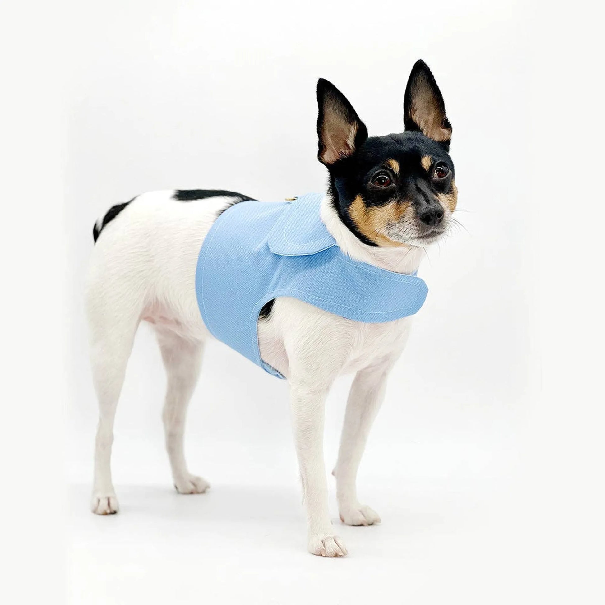DCNY Periwinkle Harness Vest - Your Pet Connection