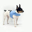 DCNY Periwinkle Harness Vest - Your Pet Connection