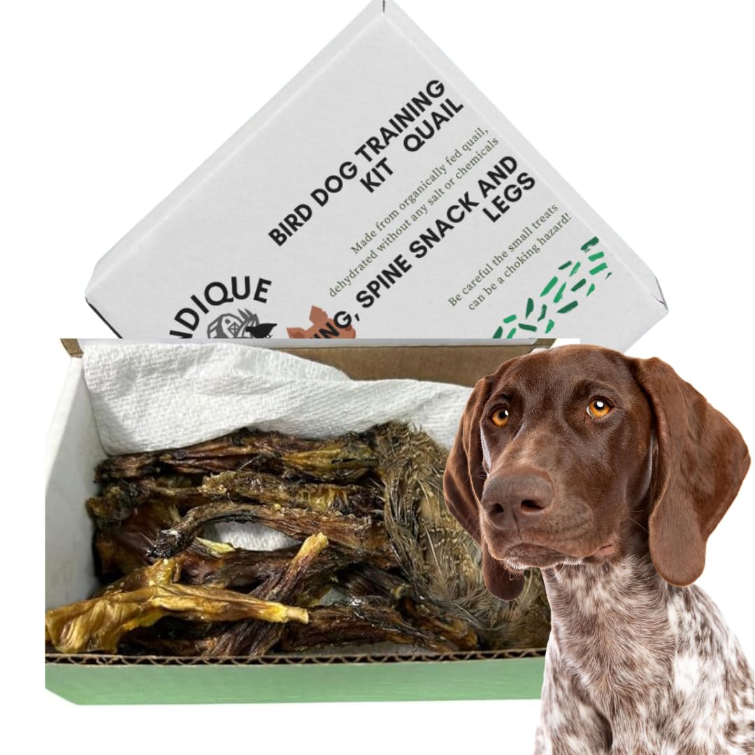 Quail Wing Dog Training Kit - Nutritious Dog Treats and Quail Wing for Effective Dog Training Sessions - Reinforce Positive Behaviors with Training Treats - Not Suitable for Small Breeds - Your Pet Connection