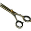 Hashir Products Hair Cutting Shears 6 Inch