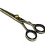 Hashir Products Hair Cutting Shears 6 Inch