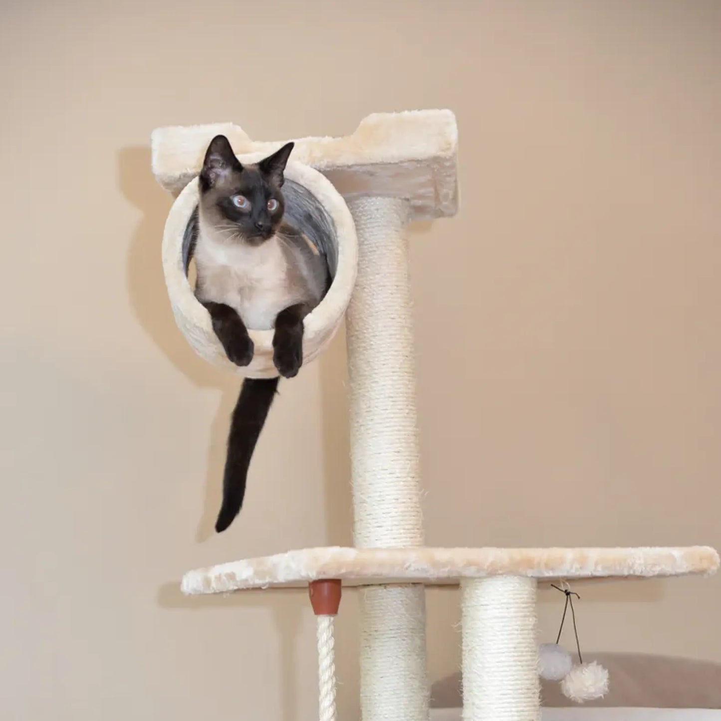 Real Wood 62" Cat tree With Scratch posts, Hammock for Cats - Your Pet Connection