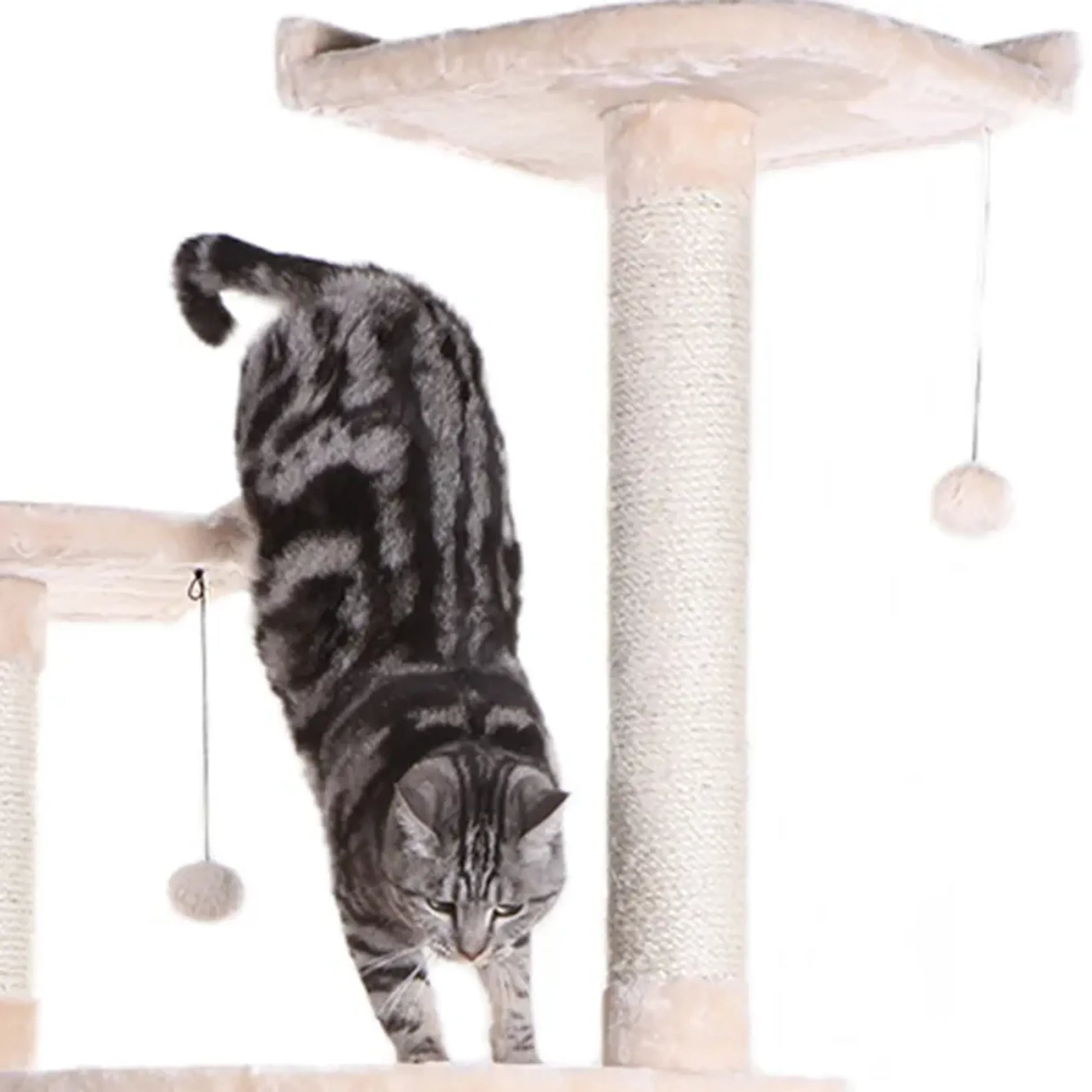 Armarkat 64" Real Wood Cat Tree W Sractch Sisal Post - Your Pet Connection