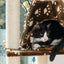 Armarkat Cat Tree Hammock Bed for Cats and Kittens, A6601 - Your Pet Connection