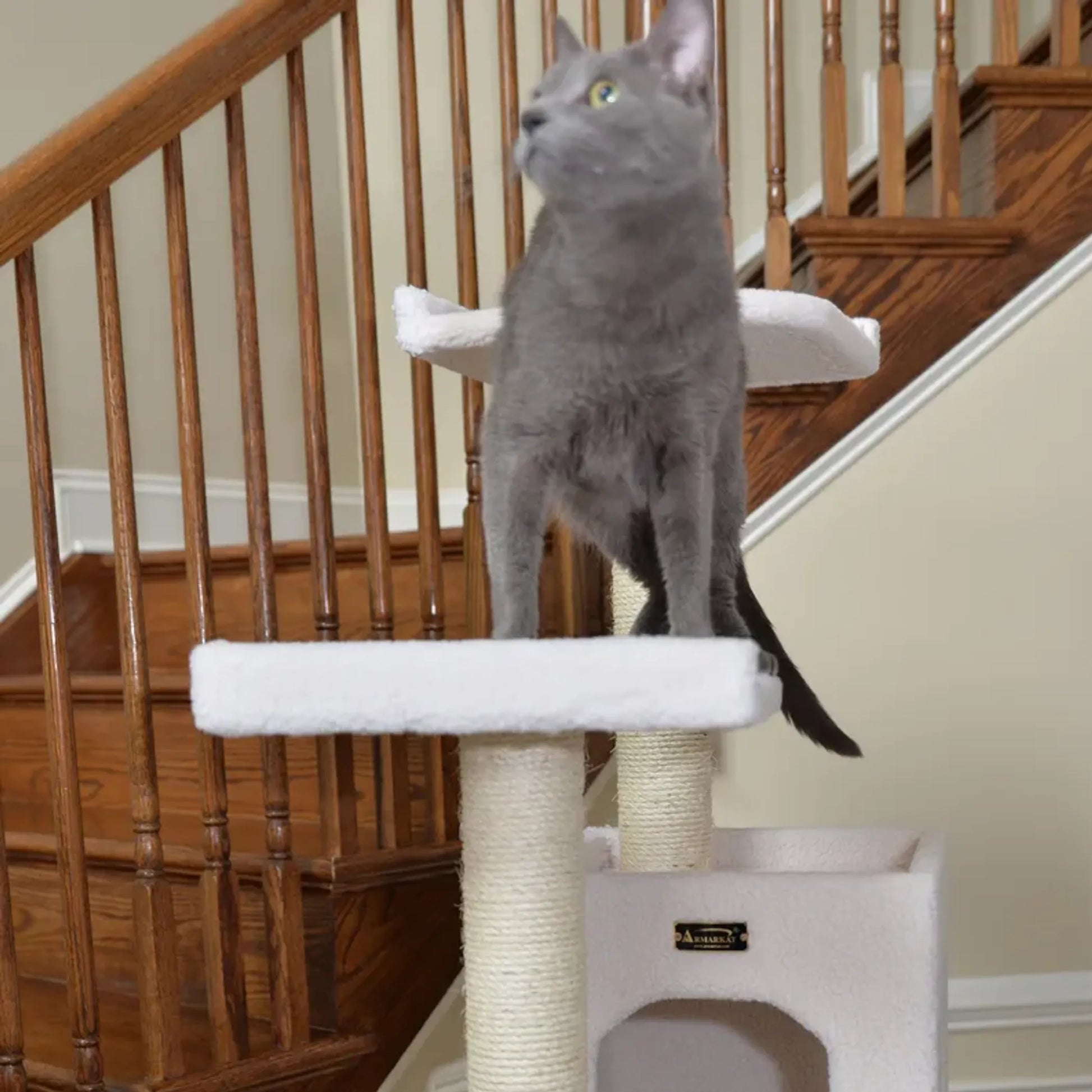 Real Wood B6802 Classic Cat Tree In Ivory 6 Levels Condo - Your Pet Connection